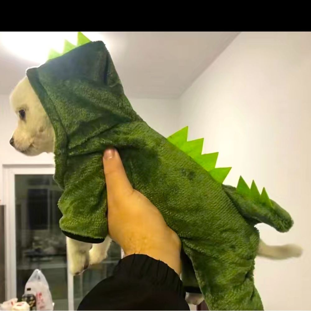 SALE****Green Dinosaur dog costume/outfit - Picture 4 of 12